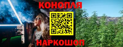 индика Краснознаменск