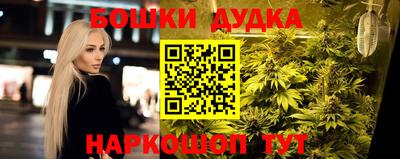 индика Краснознаменск