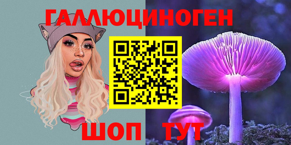 Галлюциногенные грибы Psilocybe  Вход с VPN  Щёкино 